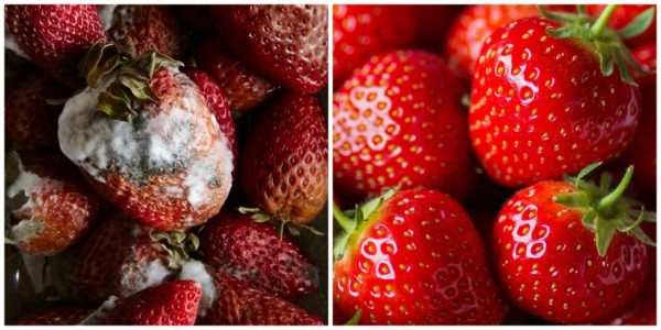 food storage hacks