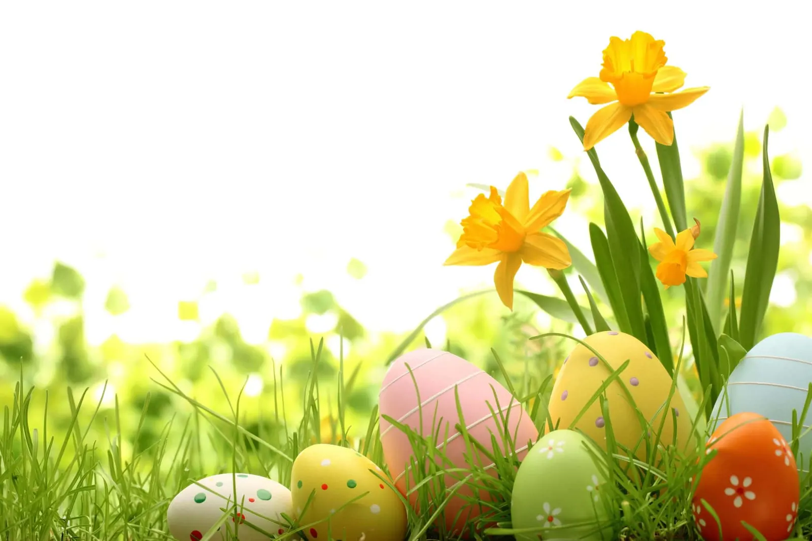 Easter Activities in Tampa Bay