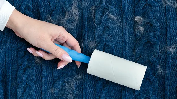 how to remove pet hair from clothes