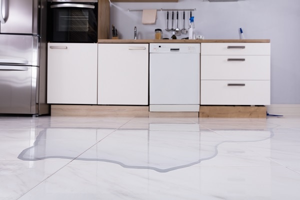 how do i fix a leaky dishwasher door