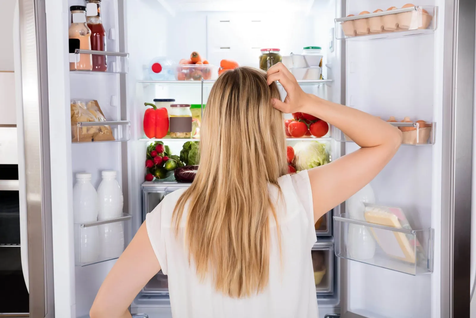 Refrigerator Repair in Tampa