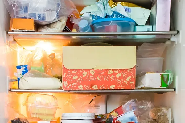 what causes a refrigerator to start freezing food